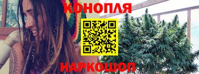 сатива Кулебаки