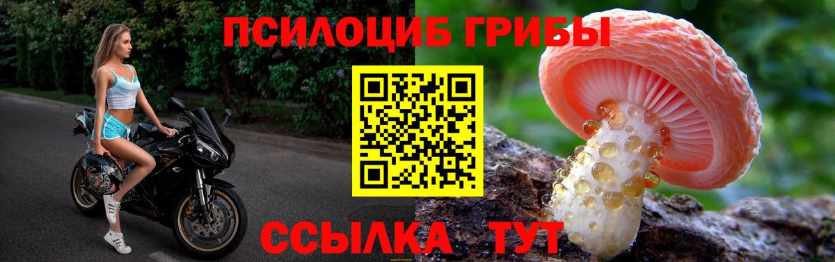 Галлюциногенные грибы MAGIC MUSHROOMS Урай